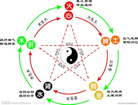 心 五行|心字的五行属性